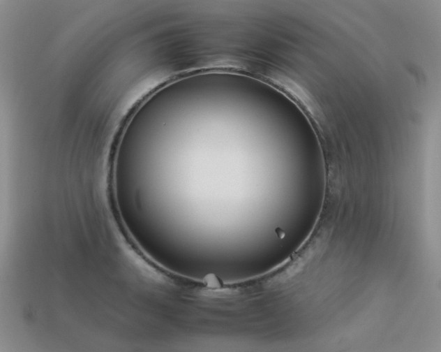 X0000113541135200909181151