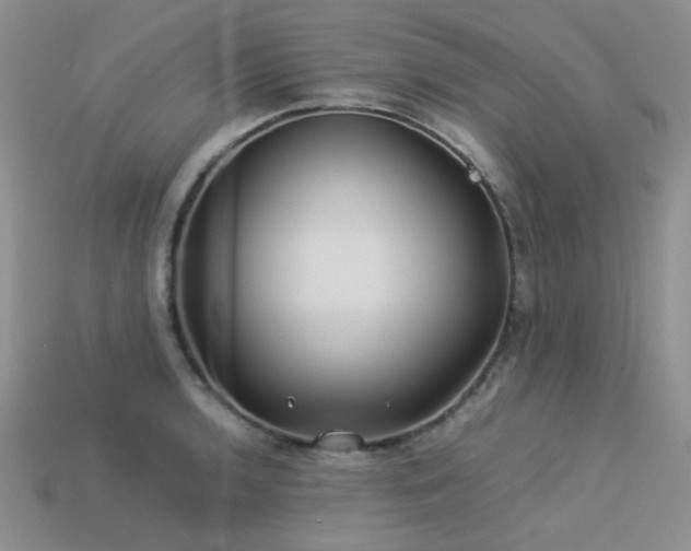 X0000113541136200909181151