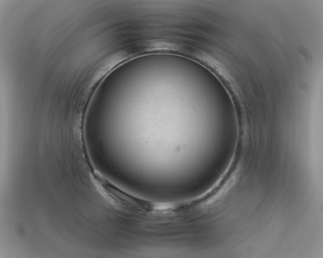 X0000113541137200909181151