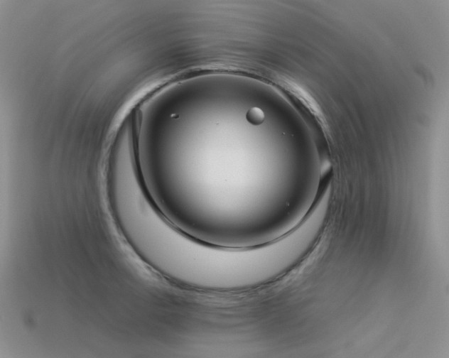 X0000113541138200909181151