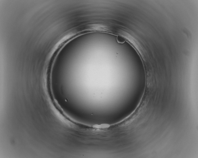 X0000113541139200909181151