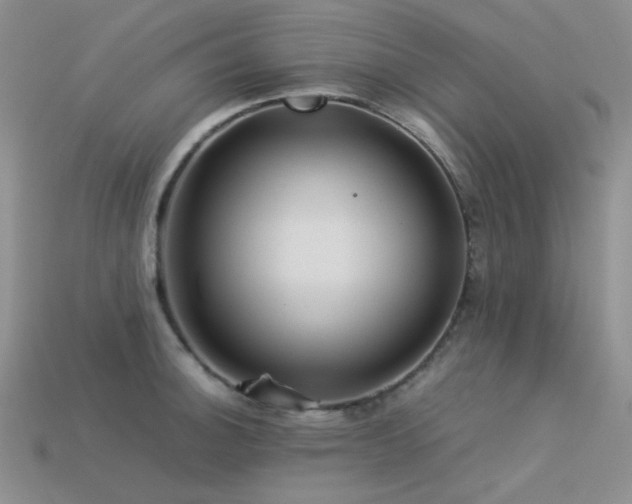 X0000113541140200909181151