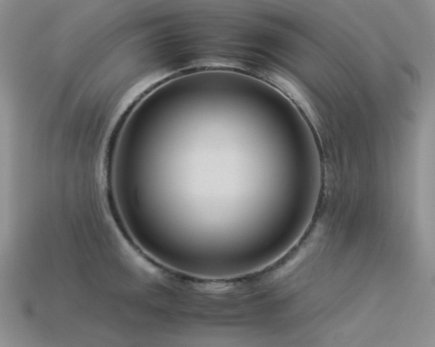 X0000113541141200909181151