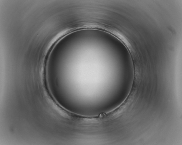 X0000113541142200909181151