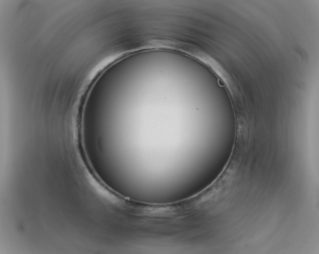 X0000113541143200909181151