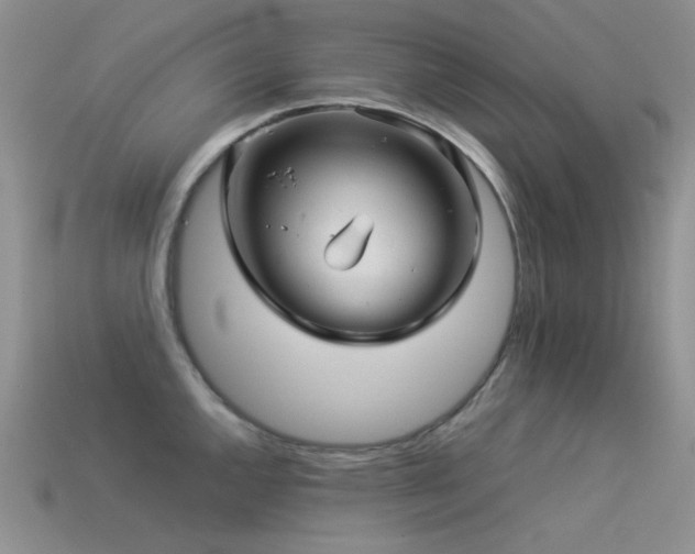 X0000113541144200909181151