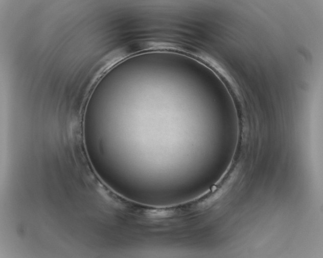 X0000113541145200909181151