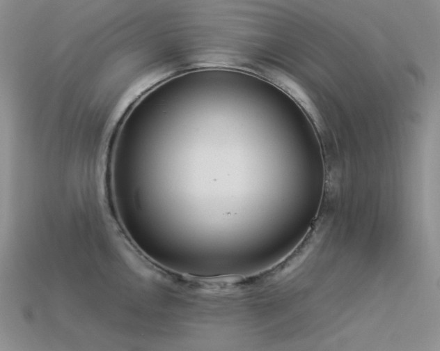 X0000113541146200909181151