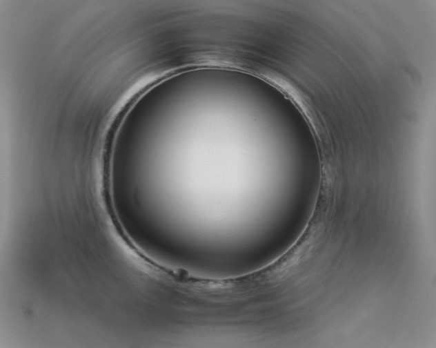 X0000113541147200909181151