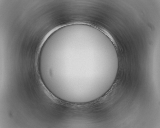 X0000113541148200909181151