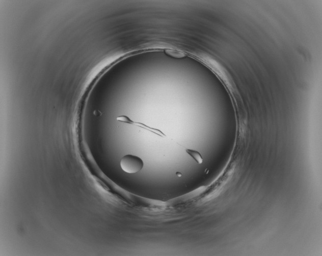 X0000113541149200909181151