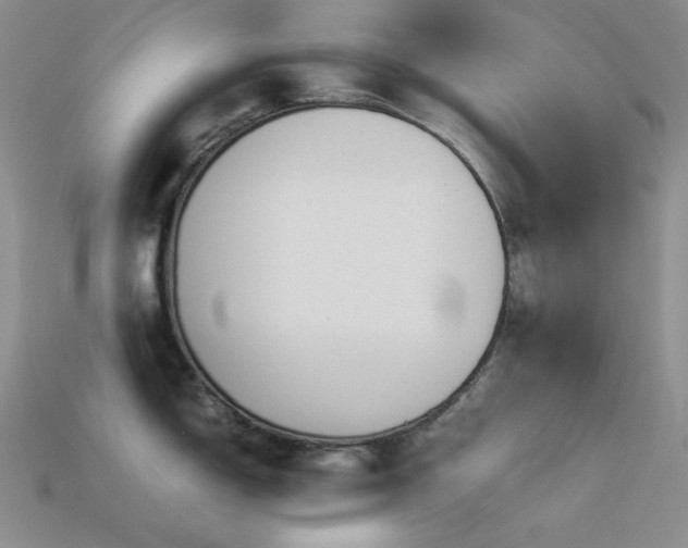 X0000113541150200909181151