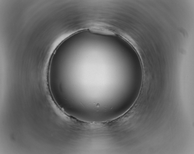 X0000113541152200909181151