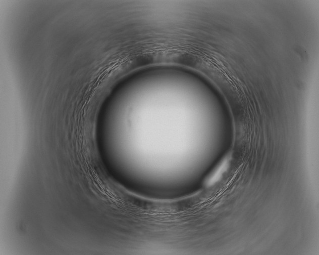 X0000113541153200909181150