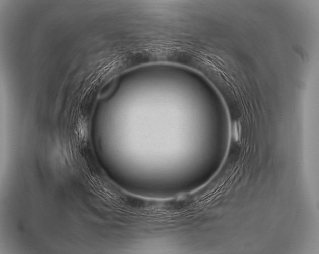 X0000113541155200909181150