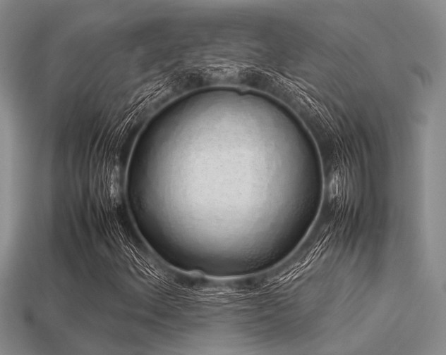 X0000113541156200909181150
