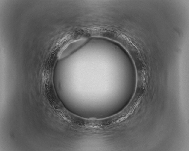 X0000113541157200909181150