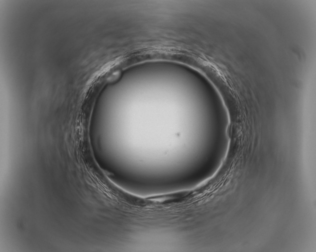 X0000113541159200909181150