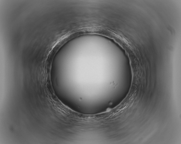 X0000113541160200909181150