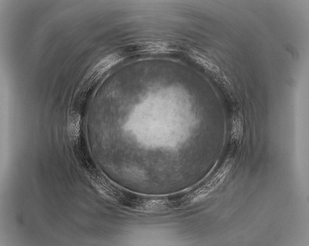 X0000113541161200909181150