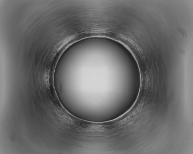 X0000113541162200909181150