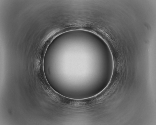 X0000113541163200909181150