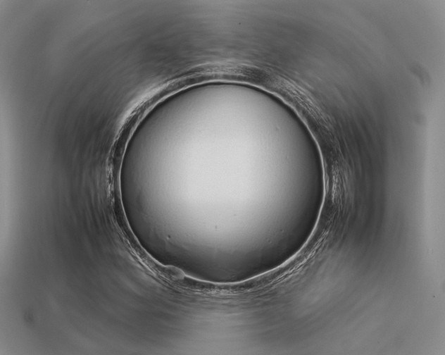 X0000113541164200909181150