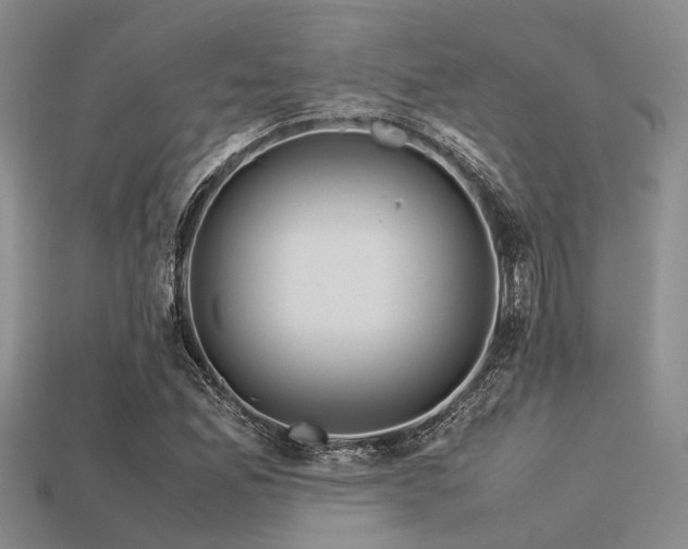 X0000113541165200909181150