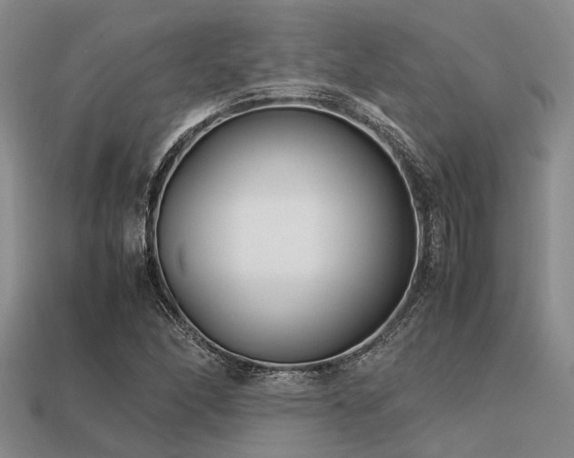 X0000113541166200909181150