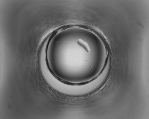X0000113541167200909181150