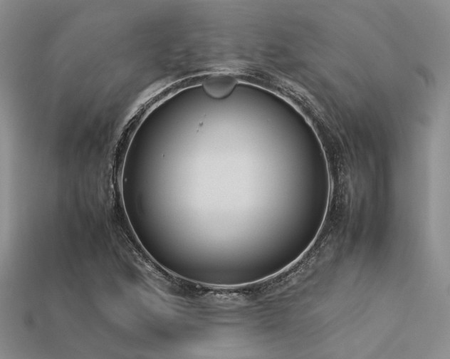 X0000113541168200909181150