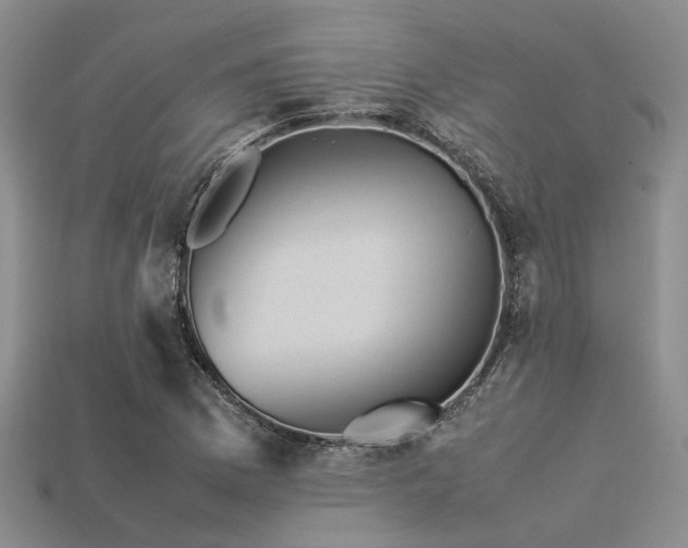 X0000113541169200909181150