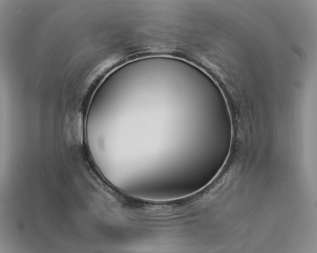 X0000113541171200909181150