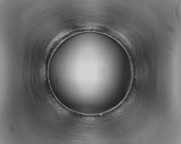 X0000113541172200909181150