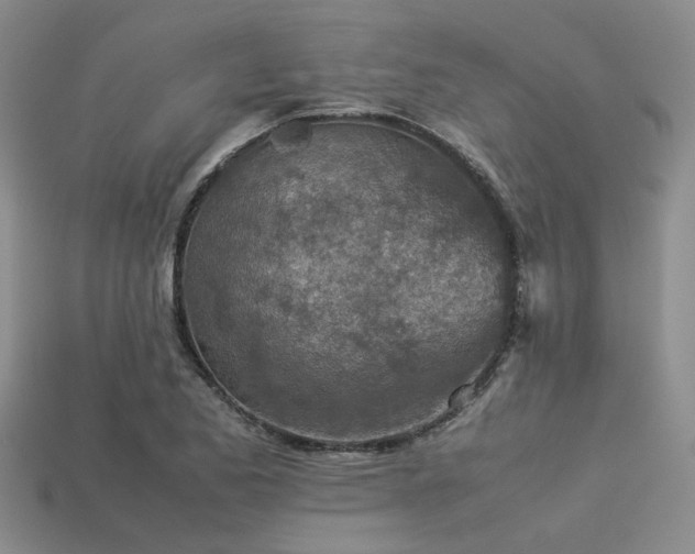 X0000113541173200909181150