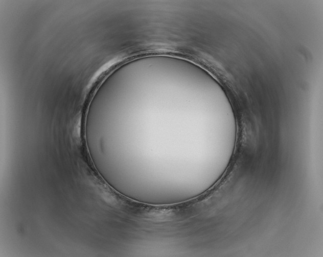 X0000113541174200909181150