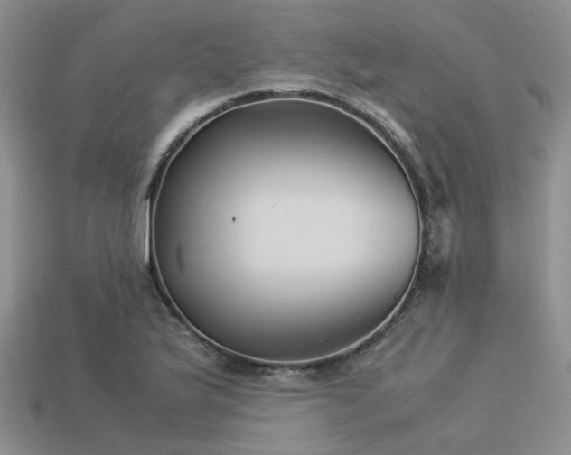 X0000113541175200909181150