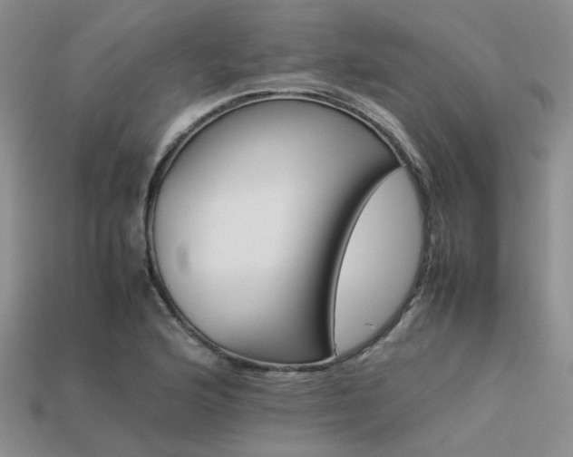 X0000113541176200909181150