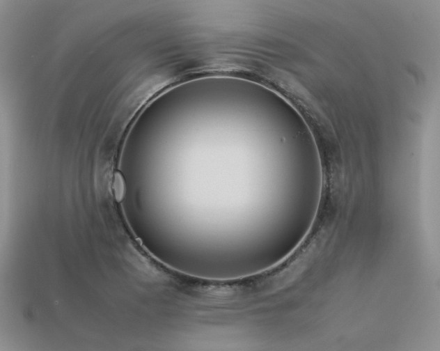 X0000113541177200909181150