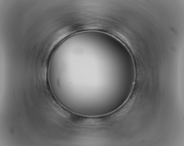 X0000113541179200909181150