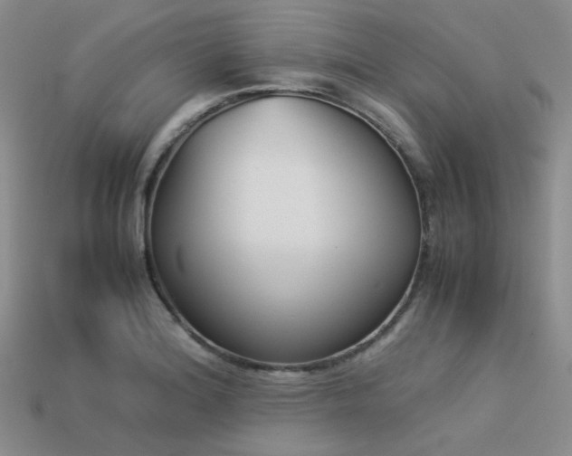 X0000113541180200909181150