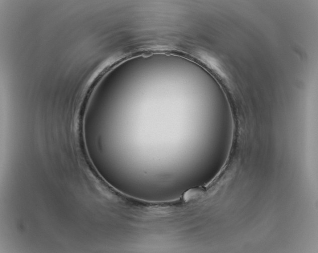 X0000113541181200909181150