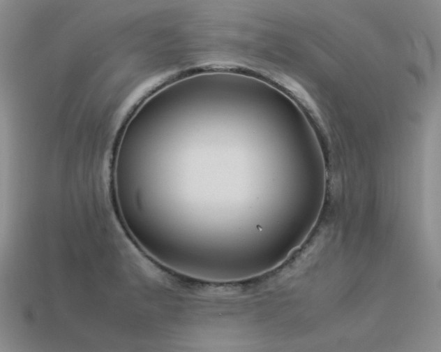 X0000113541183200909181150