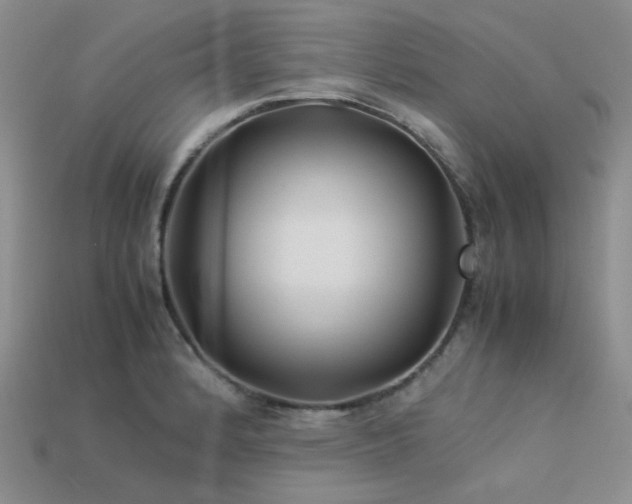 X0000113541184200909181150