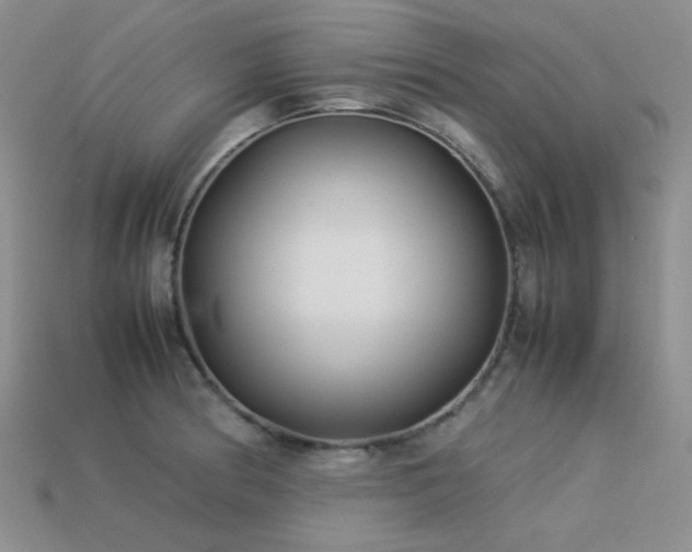 X0000113541186200909181150