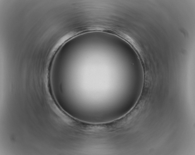X0000113541187200909181150