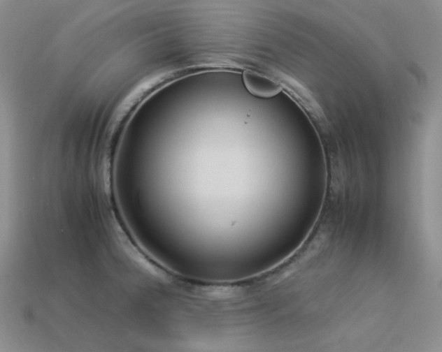 X0000113541188200909181150