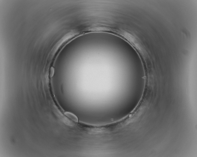 X0000113541189200909181150