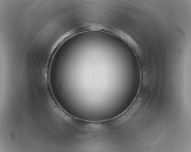 X0000113541190200909181150