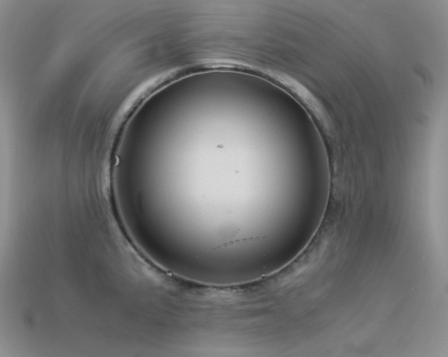 X0000113541191200909181150